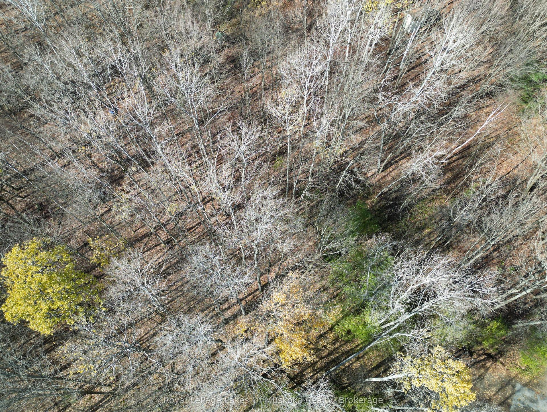 7 Rice Lane — photo 1
