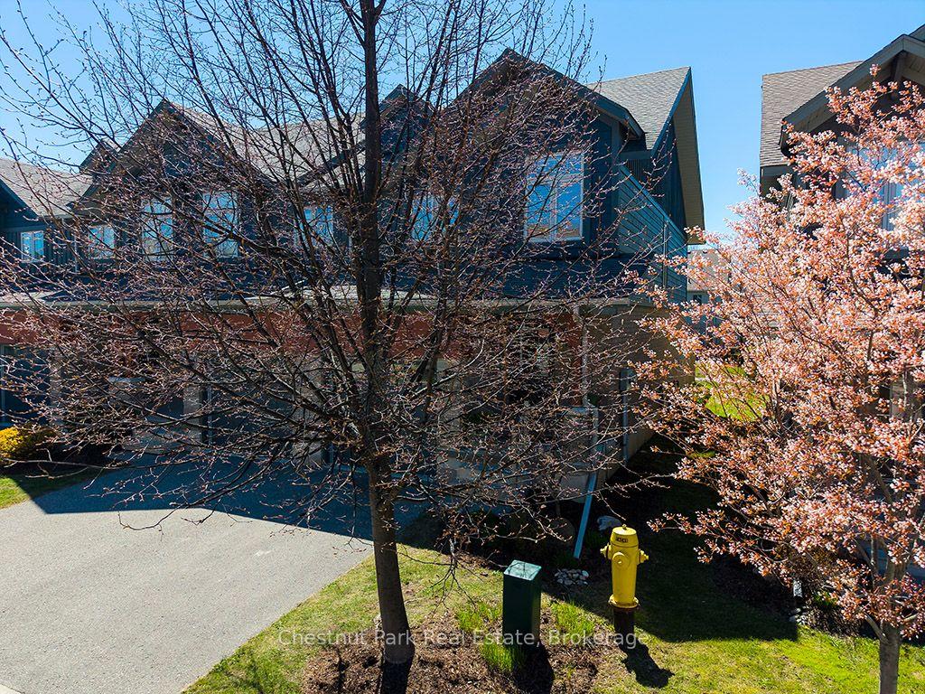 54 Conservation Way — photo 1