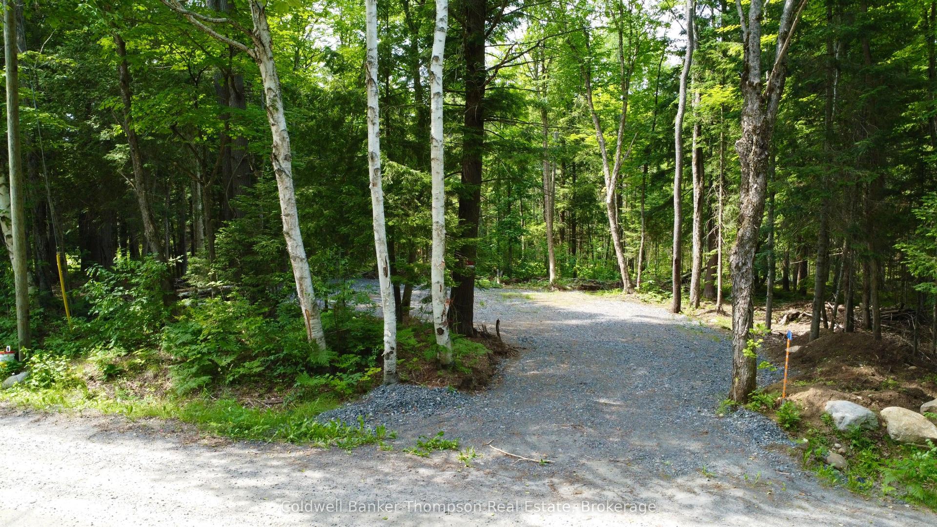 50 Concession 2 And 3 West Road W, Huntsville — Land for sale, photo 1