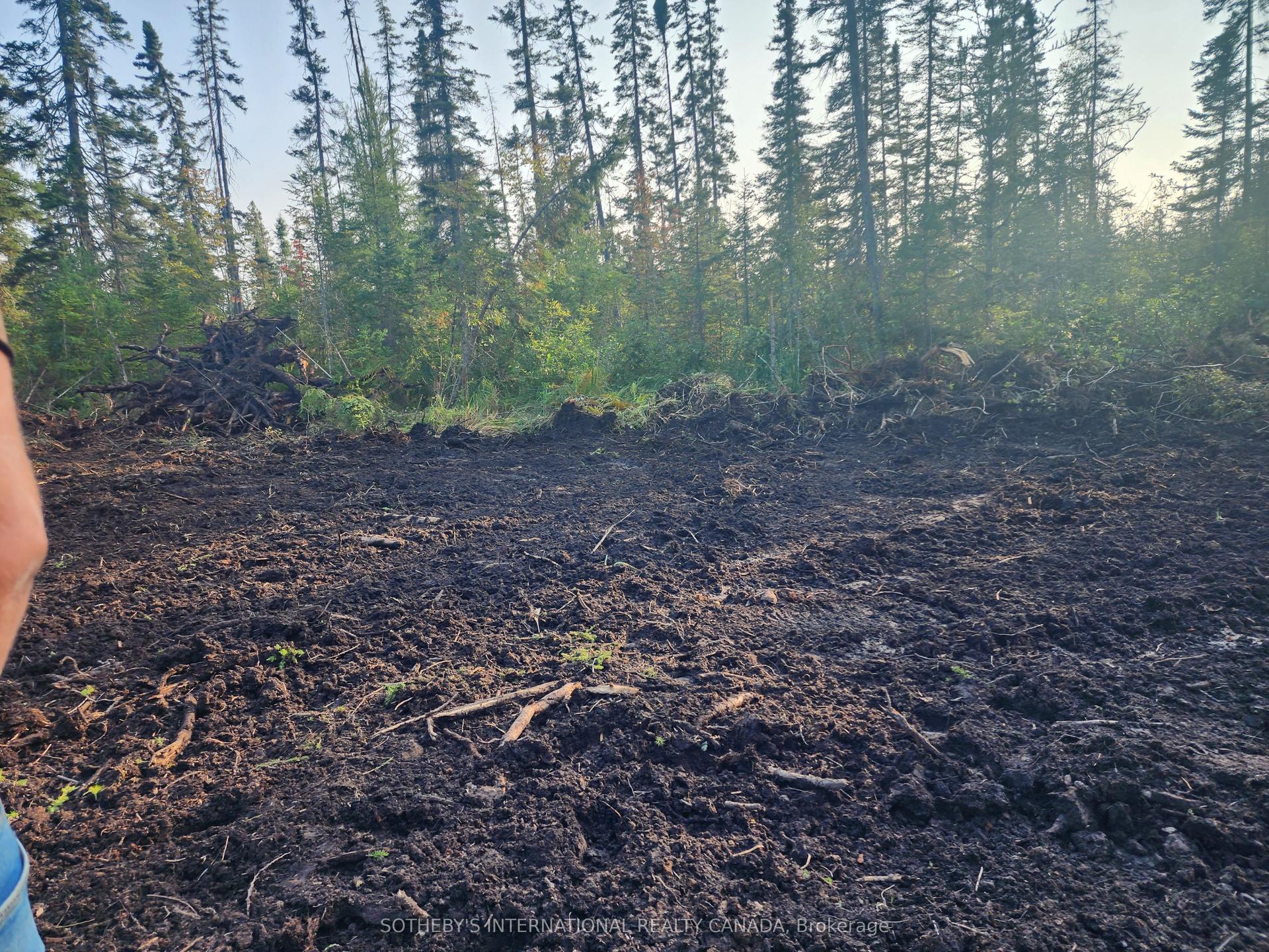 1022 Thompson Road, Bracebridge — Land for sale, photo 1