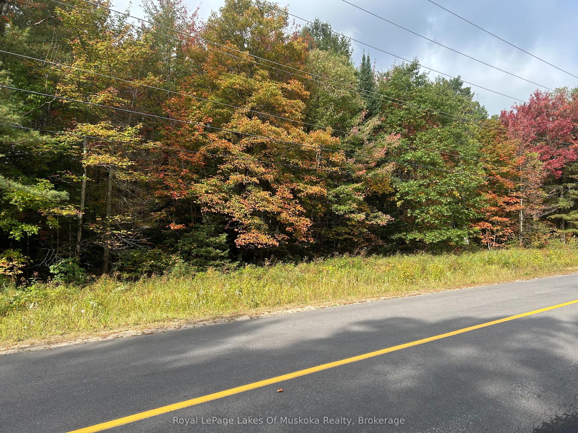 PT2 35R 132264 Bonnie Lake Road, Bracebridge — Land for sale, photo 1