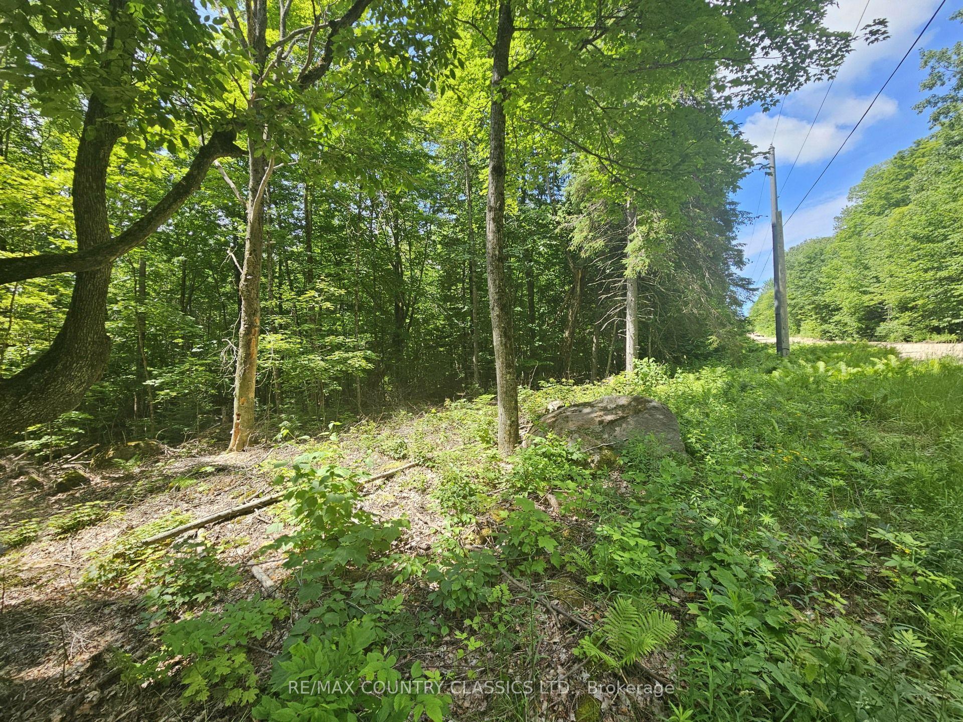 Pt Lt 22 O'Grady Settlement Road, Killaloe, Hagarty and Richards — Land for sale, photo 1