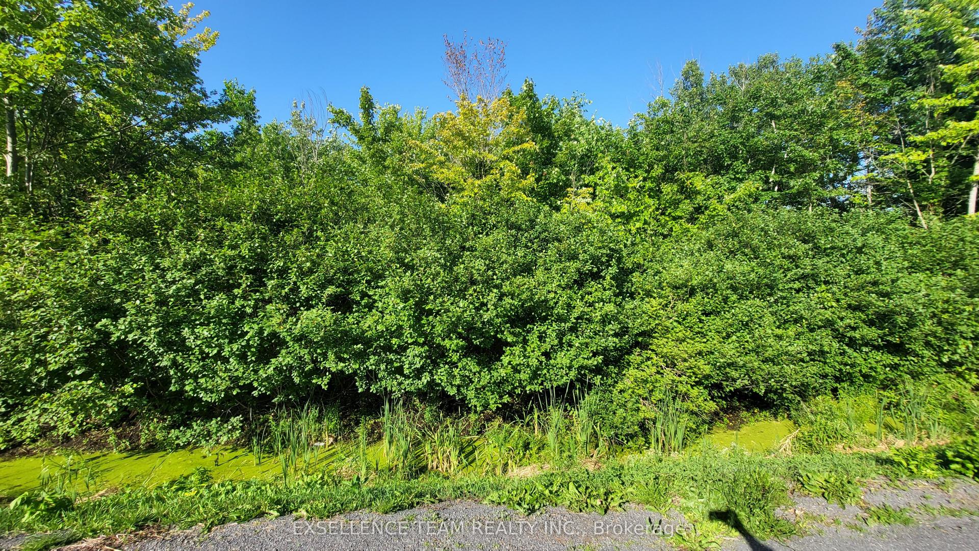 00 Tolmies Corners Road — photo 1