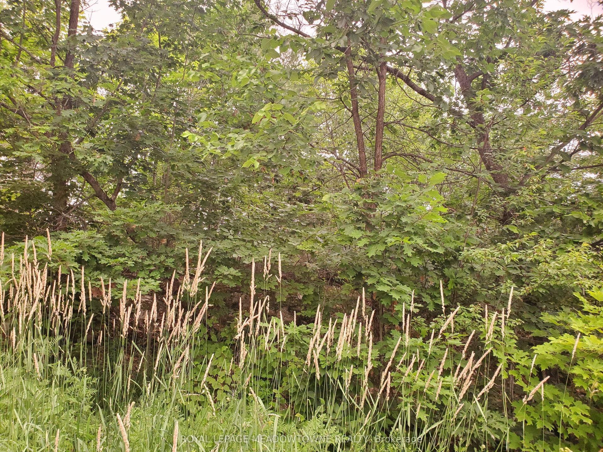 P18185 Lt 11-12 Con 11 N/A, Parry Sound Remote Area — Land for sale, photo 1