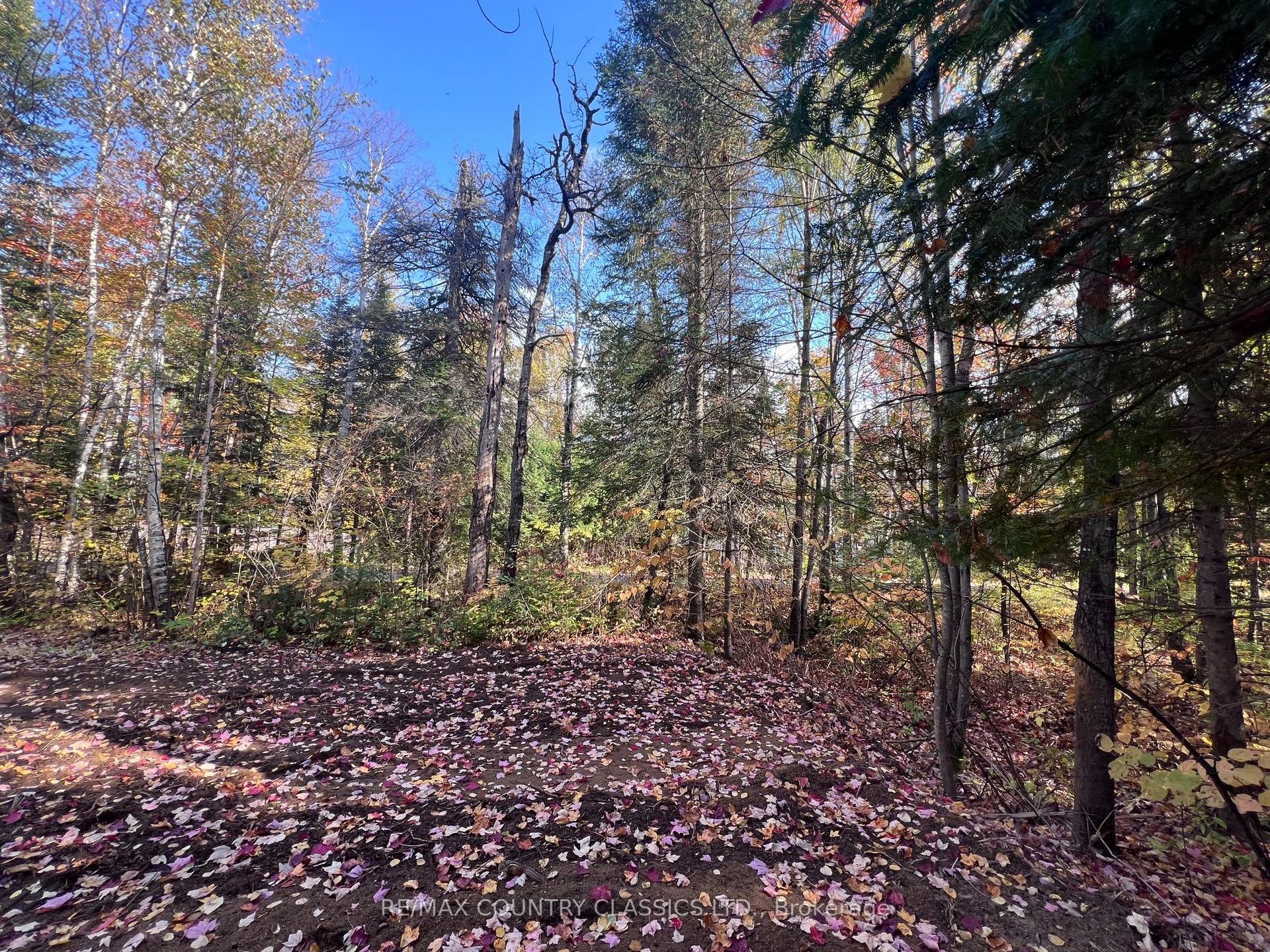 0 High Bush Road, Hastings Highlands — Land for sale, photo 1