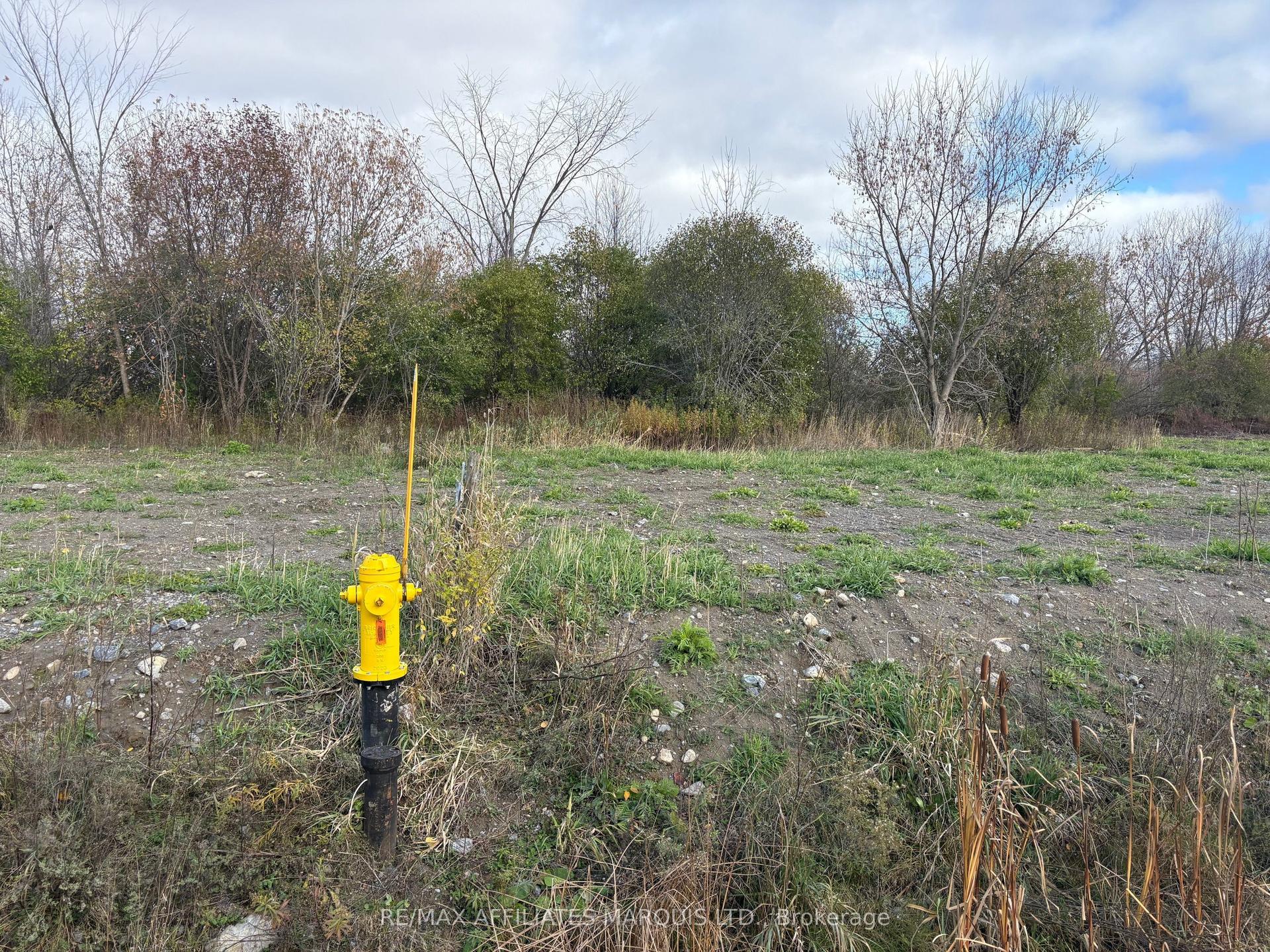5361 Woodland Drive N, South Stormont — Land for sale, photo 1