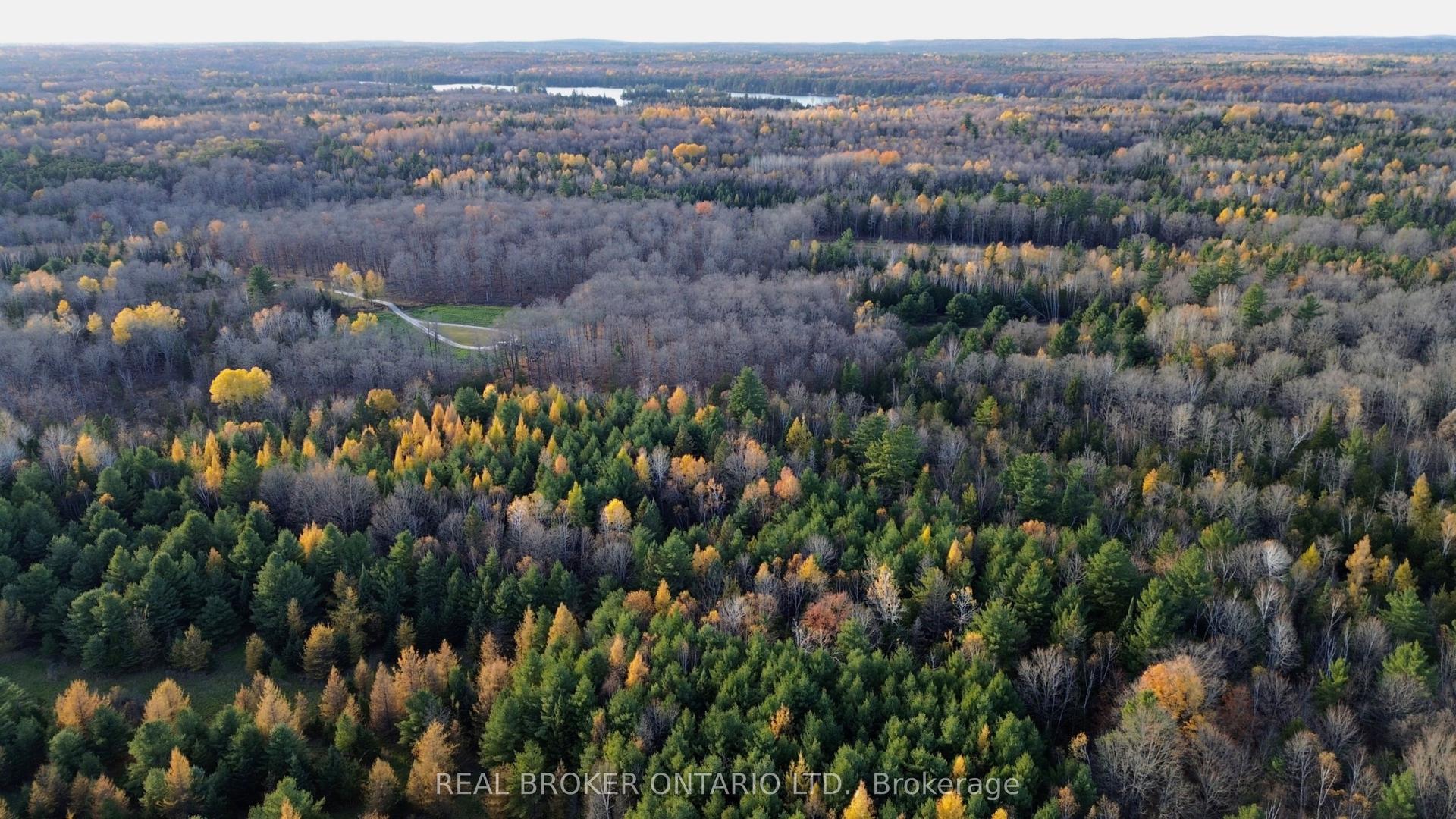 Lot 3 Watsons Corners Road, Lanark Highlands — Land for sale, photo 1