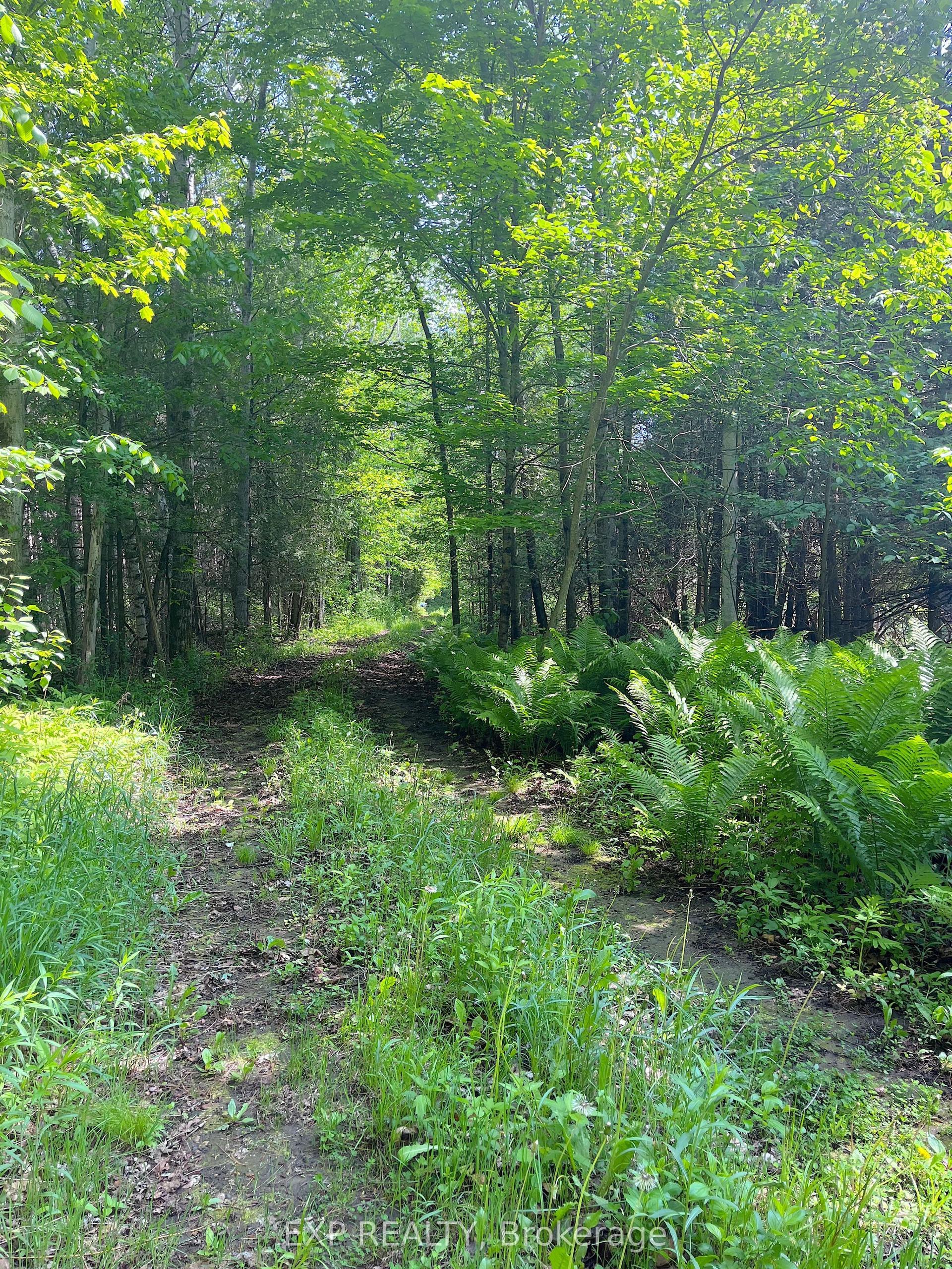 00 Johnston Road, Horton — Land for sale, photo 1