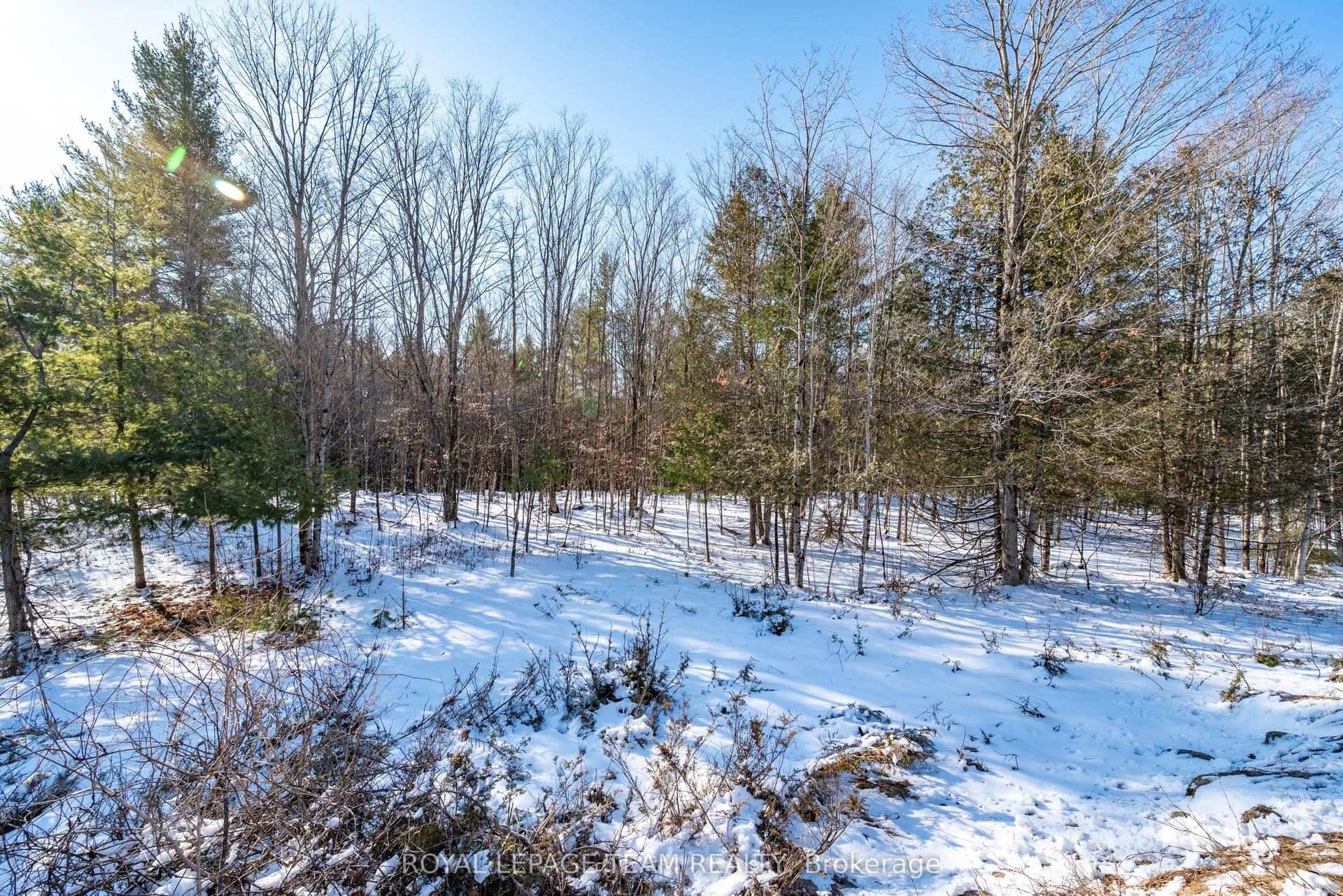 00 Maple Street — photo 1