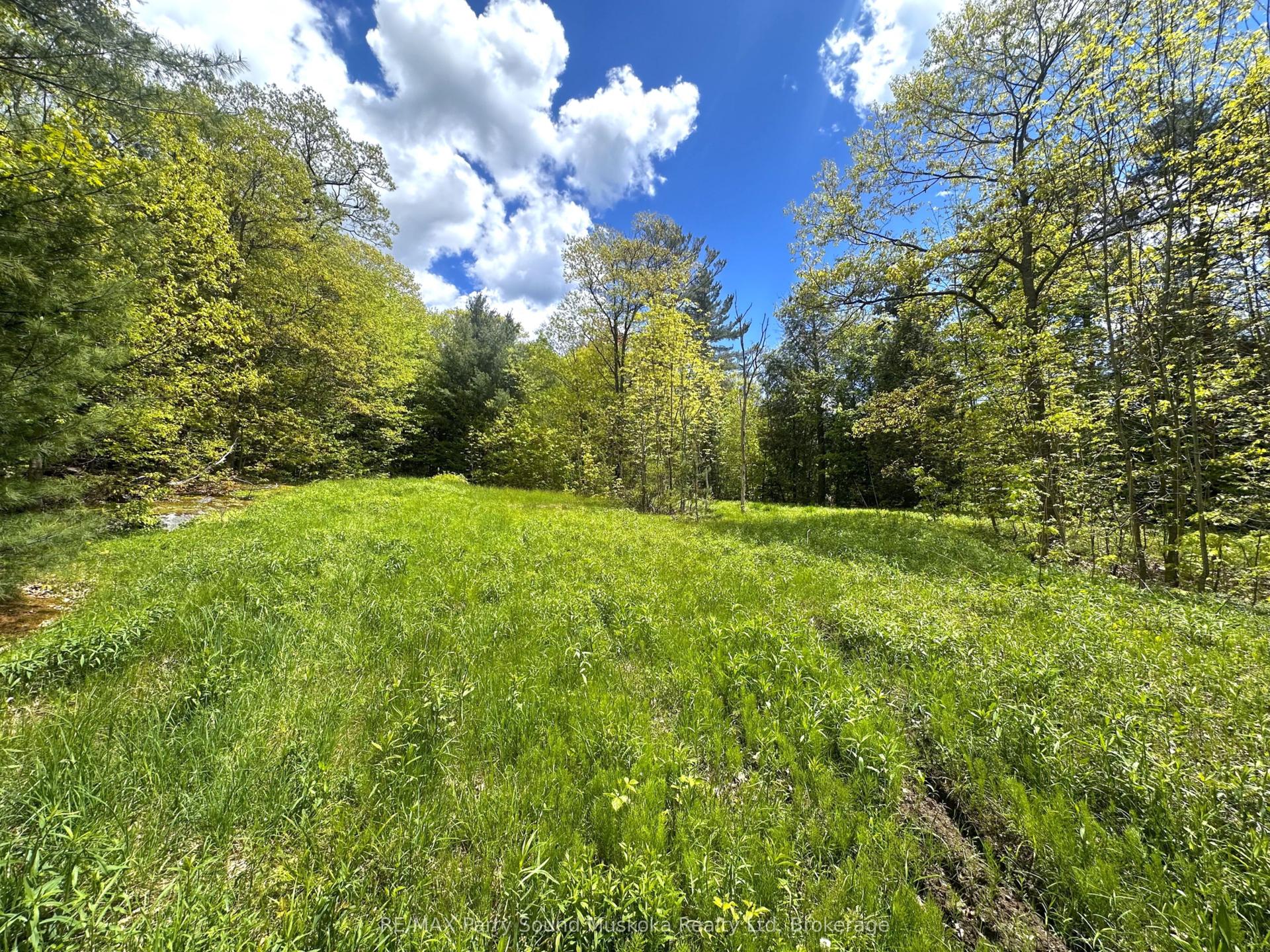 22A Lock Street, Seguin — Land for sale, photo 1