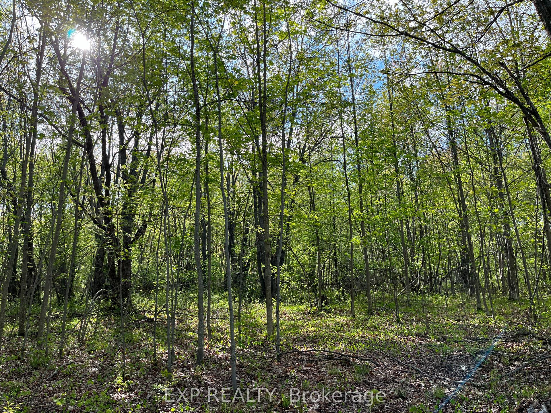 Lot 7 Casson Trail — photo 1