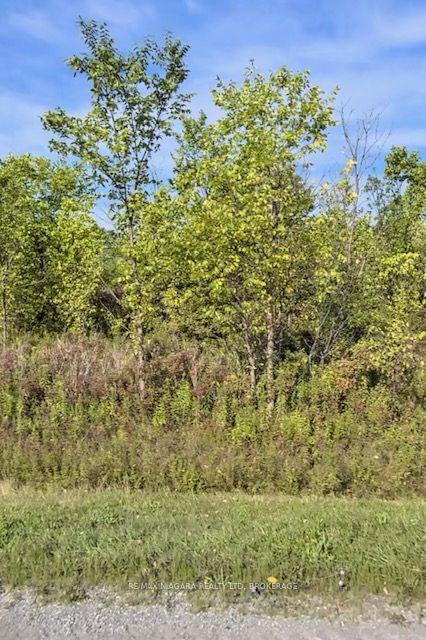 Lot 4 Montrose Road — photo 1