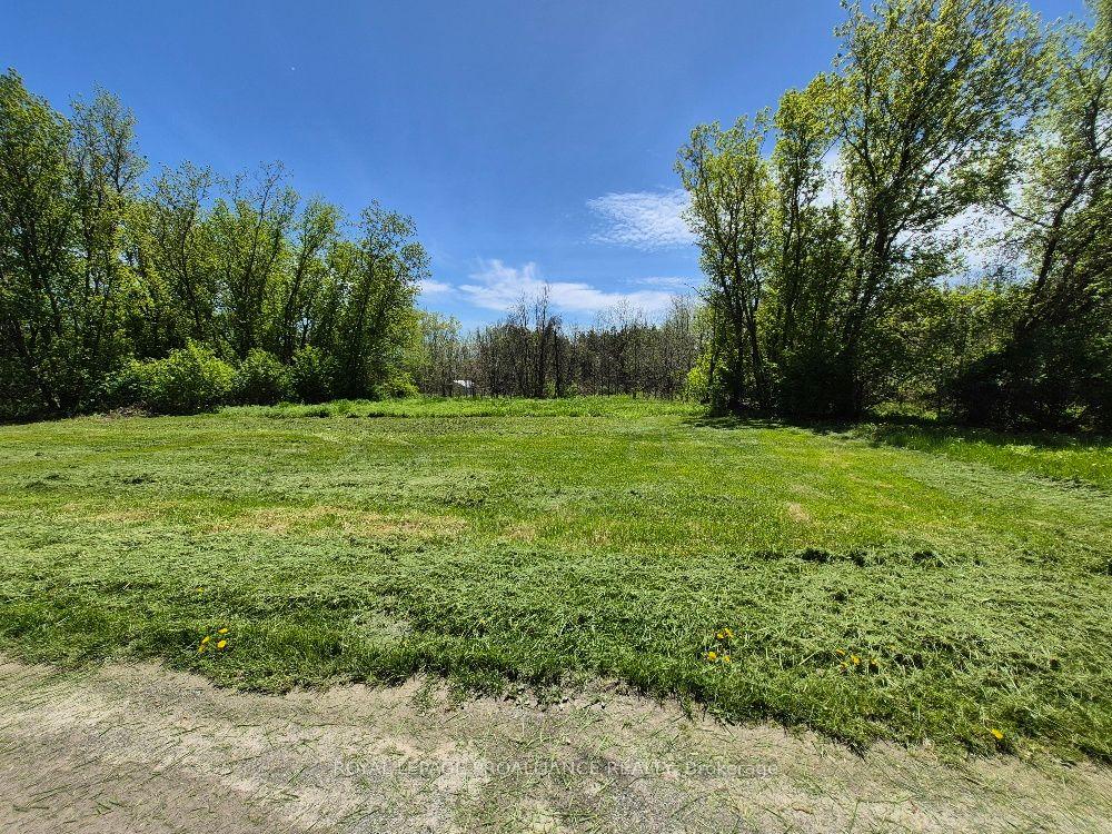 58 Walt Street, Brighton — Land for sale, photo 1