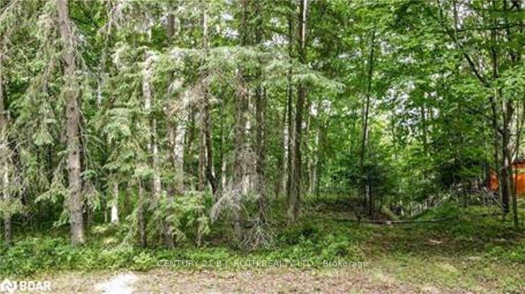 7 Fern Lane — photo 1