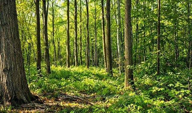 49 Cedar Sands Road — photo 1