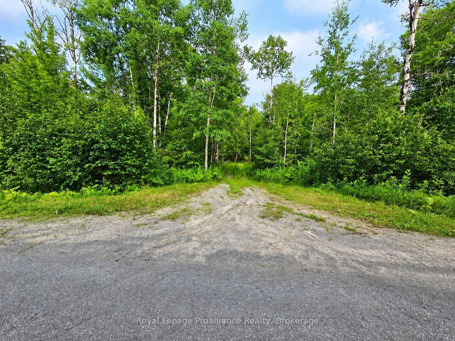 1446 Flinton Road, Tweed — Land for sale, photo 1