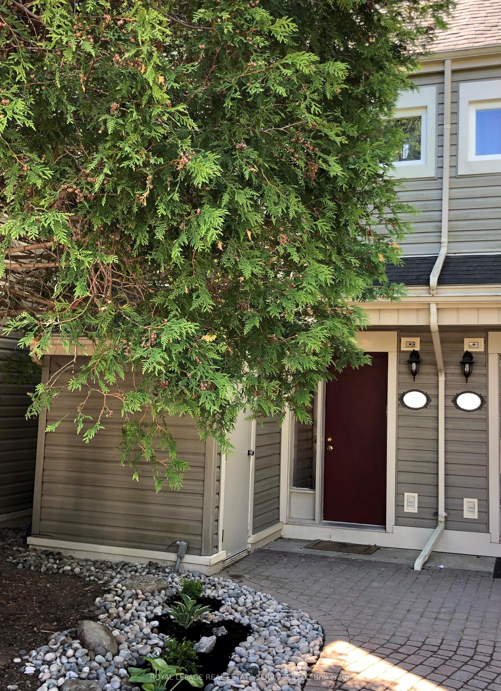 466 Oxbow Crescent 6 #6, Collingwood — Condo Town for lease, photo 1
