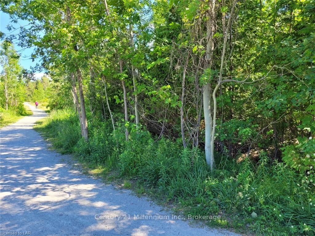 11325 26 Highway, Collingwood — Land for sale, photo 1