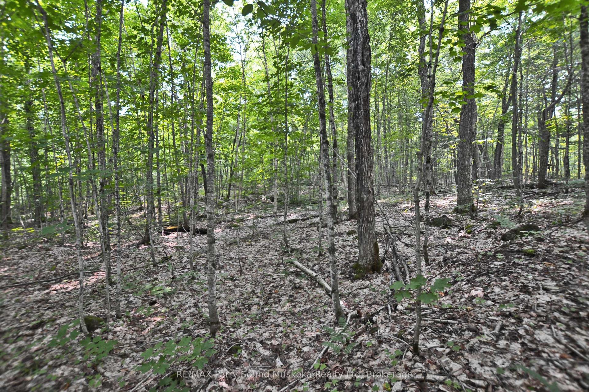 0 Lyndsey Lane Part 2 #Part 2, McKellar — Land for sale, photo 1