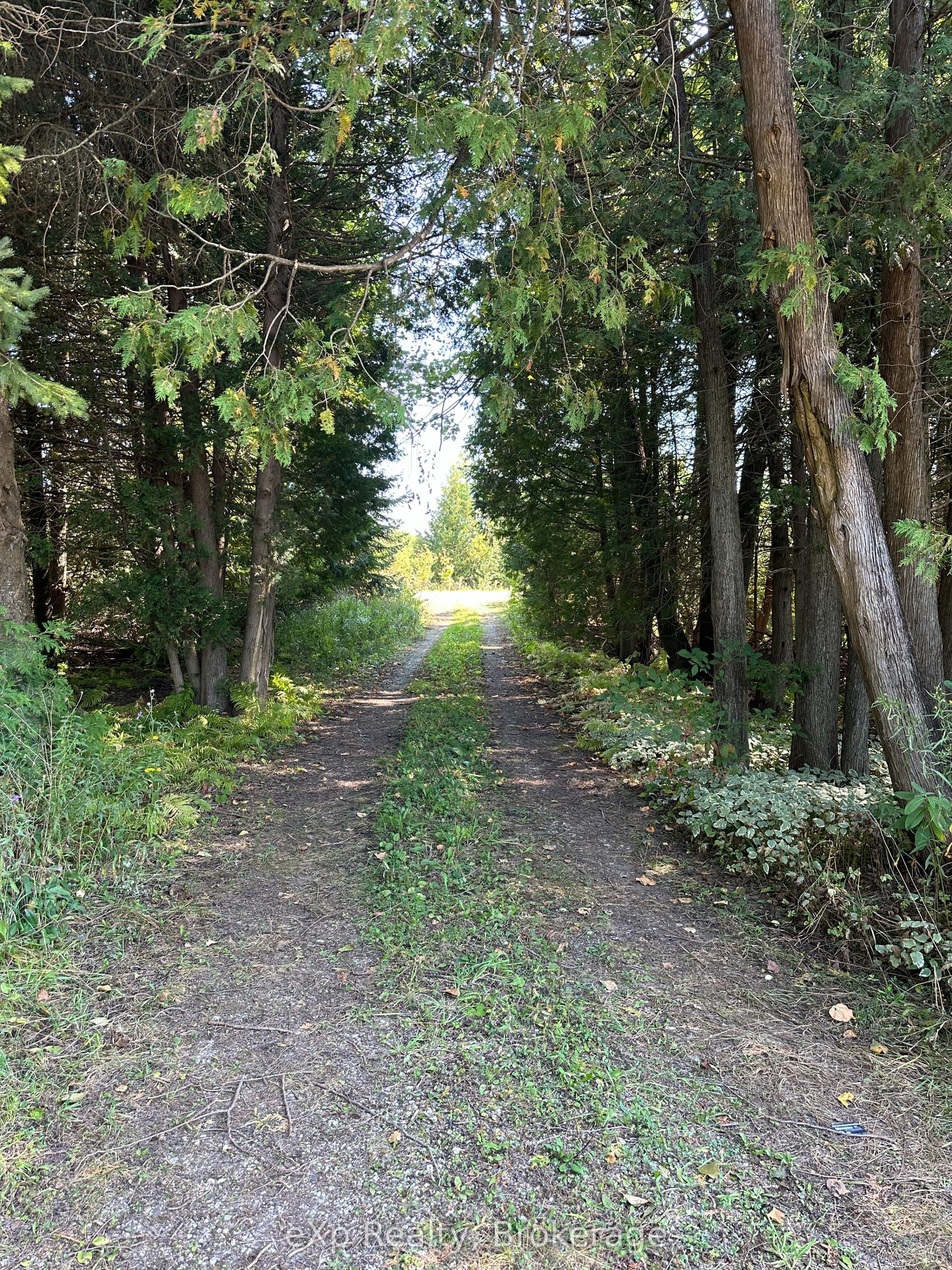 133272 ALLAN PARK Road — photo 1