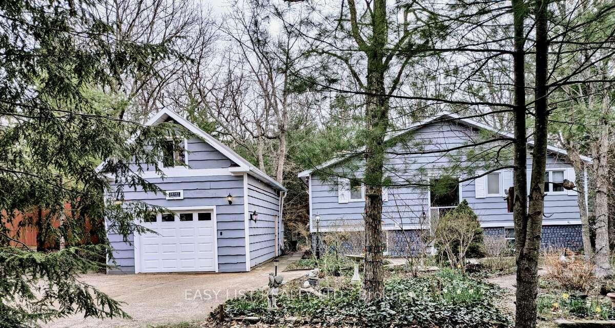 10161 Andrea Street — photo 1