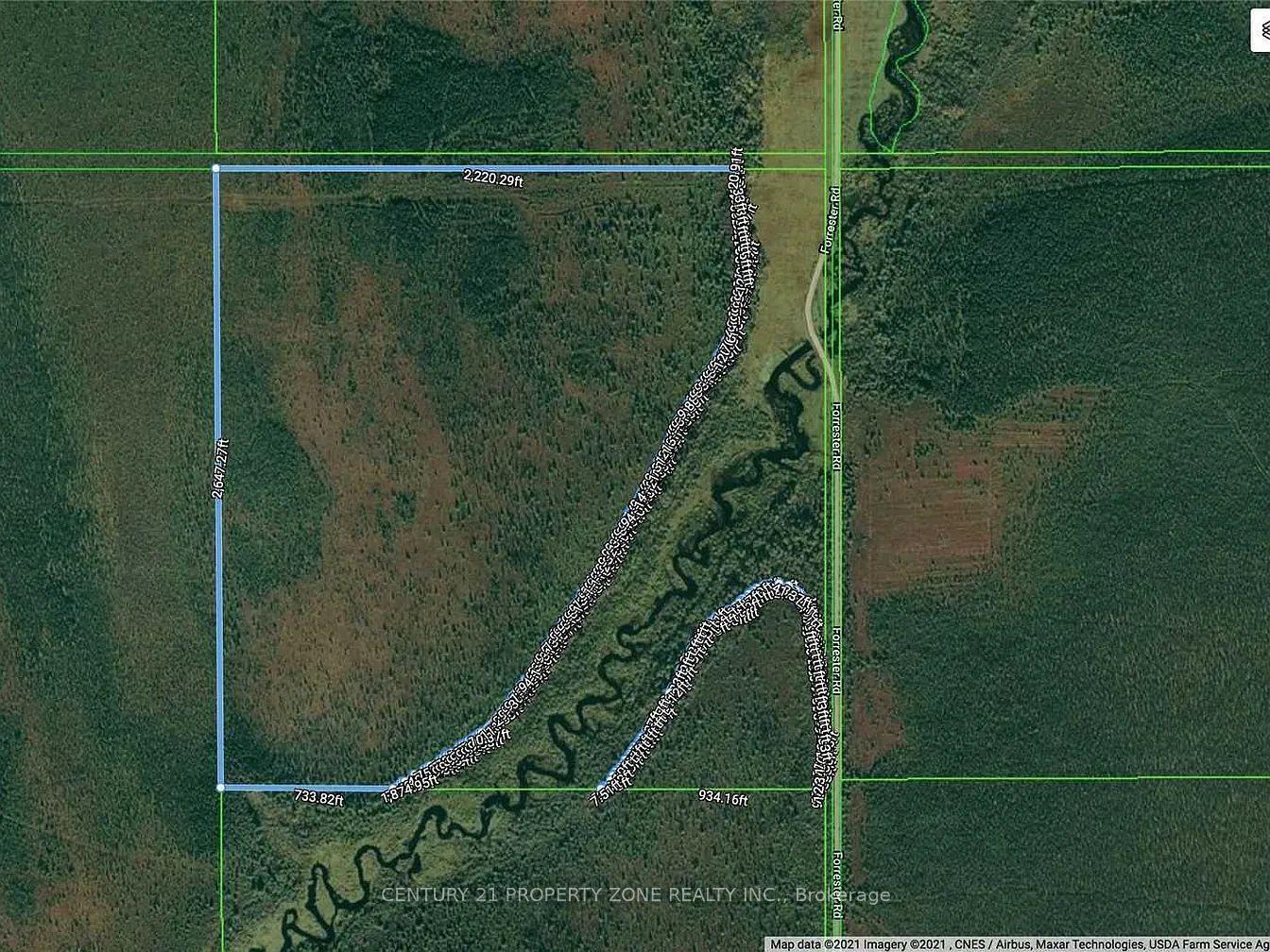 19501 Forrester Road, Lake of the Woods — Land for sale, photo 1