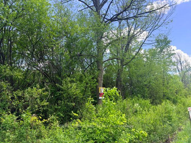 V/L CENTRALIA Avenue N, Fort Erie — Land for sale, photo 1