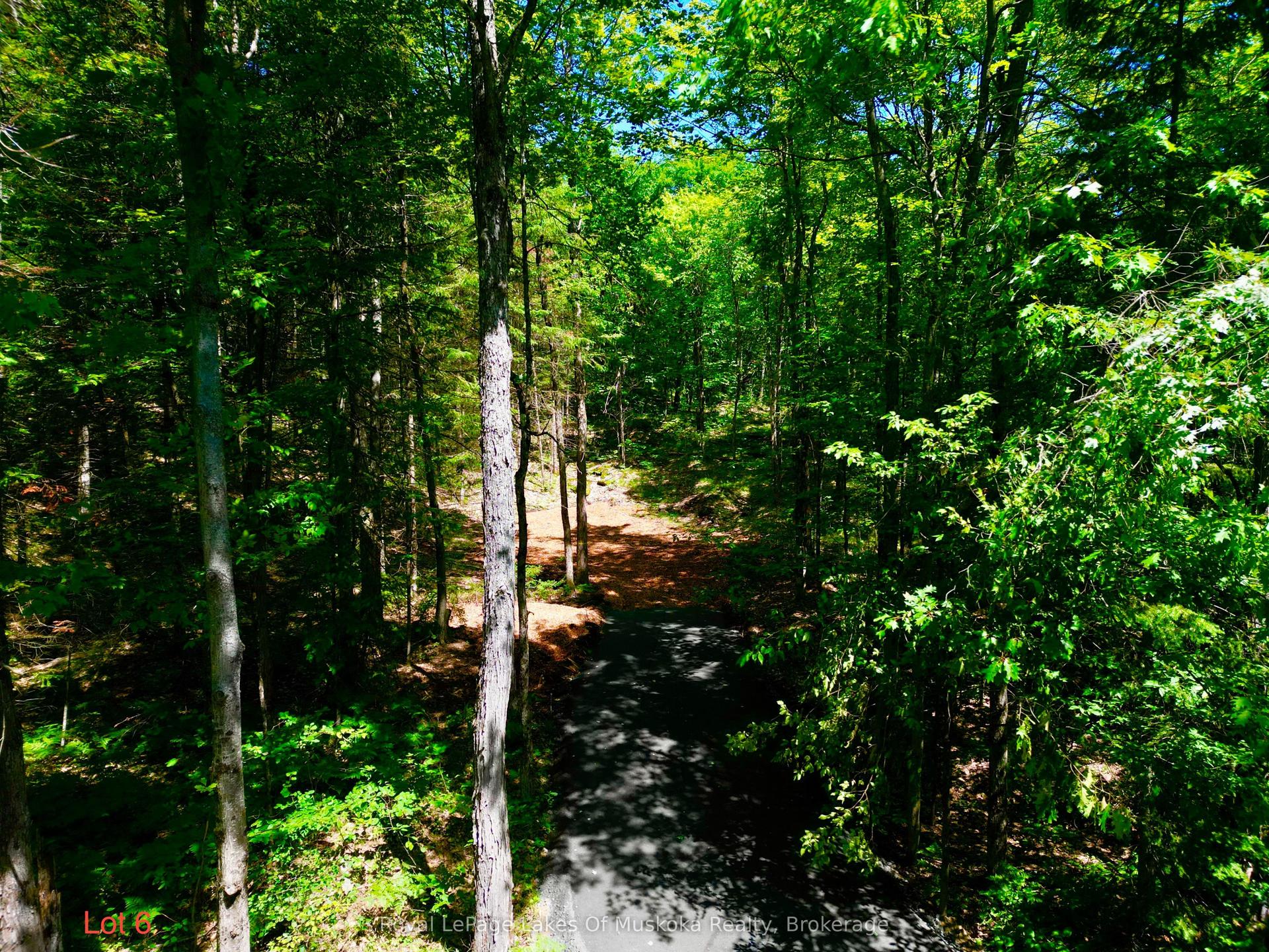 Lot 6 Fairy Falls Road, Lake of Bays — Land for sale, photo 1