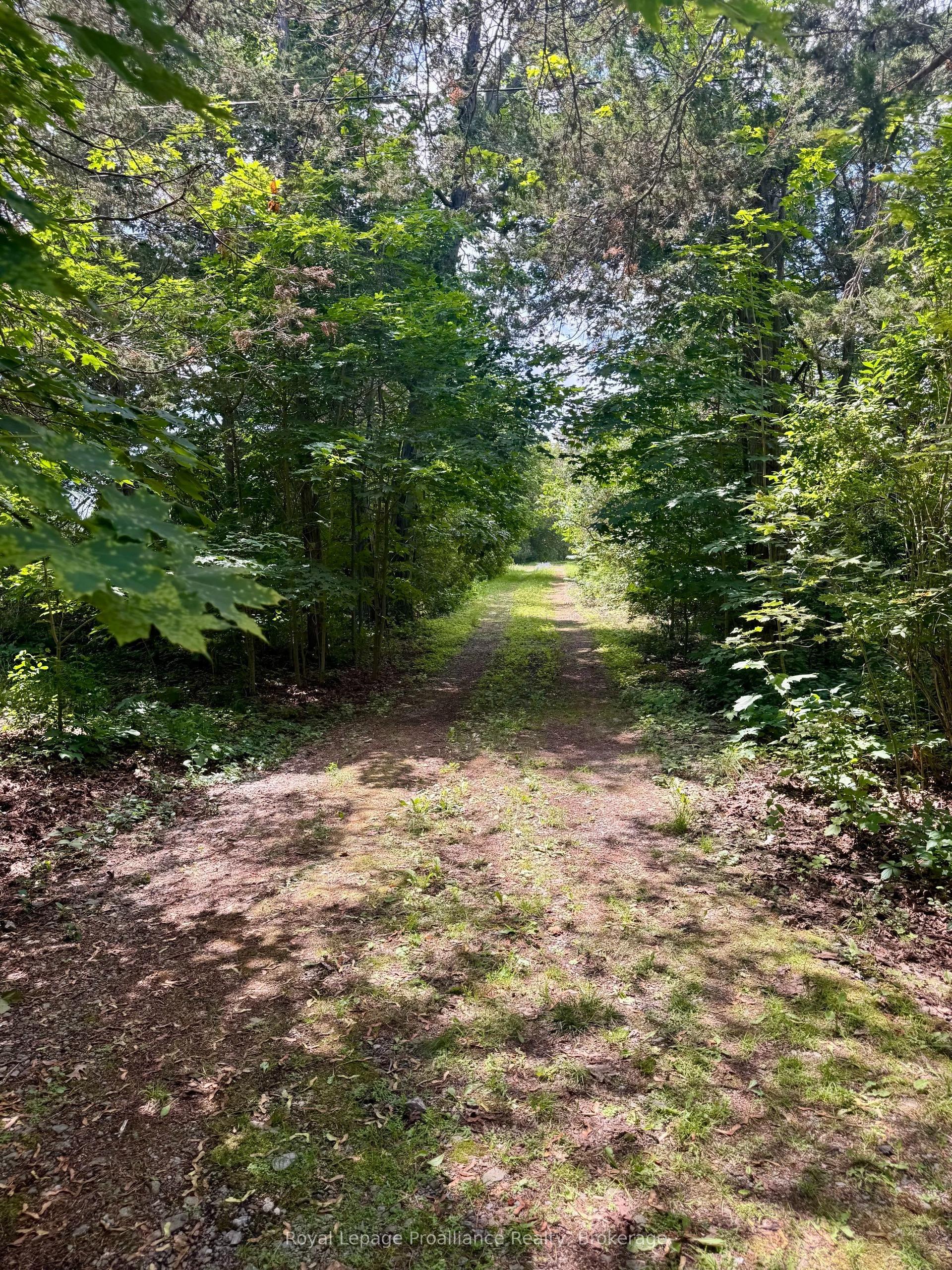 680 Highway 49 N/A, Prince Edward County — Land for sale, photo 1