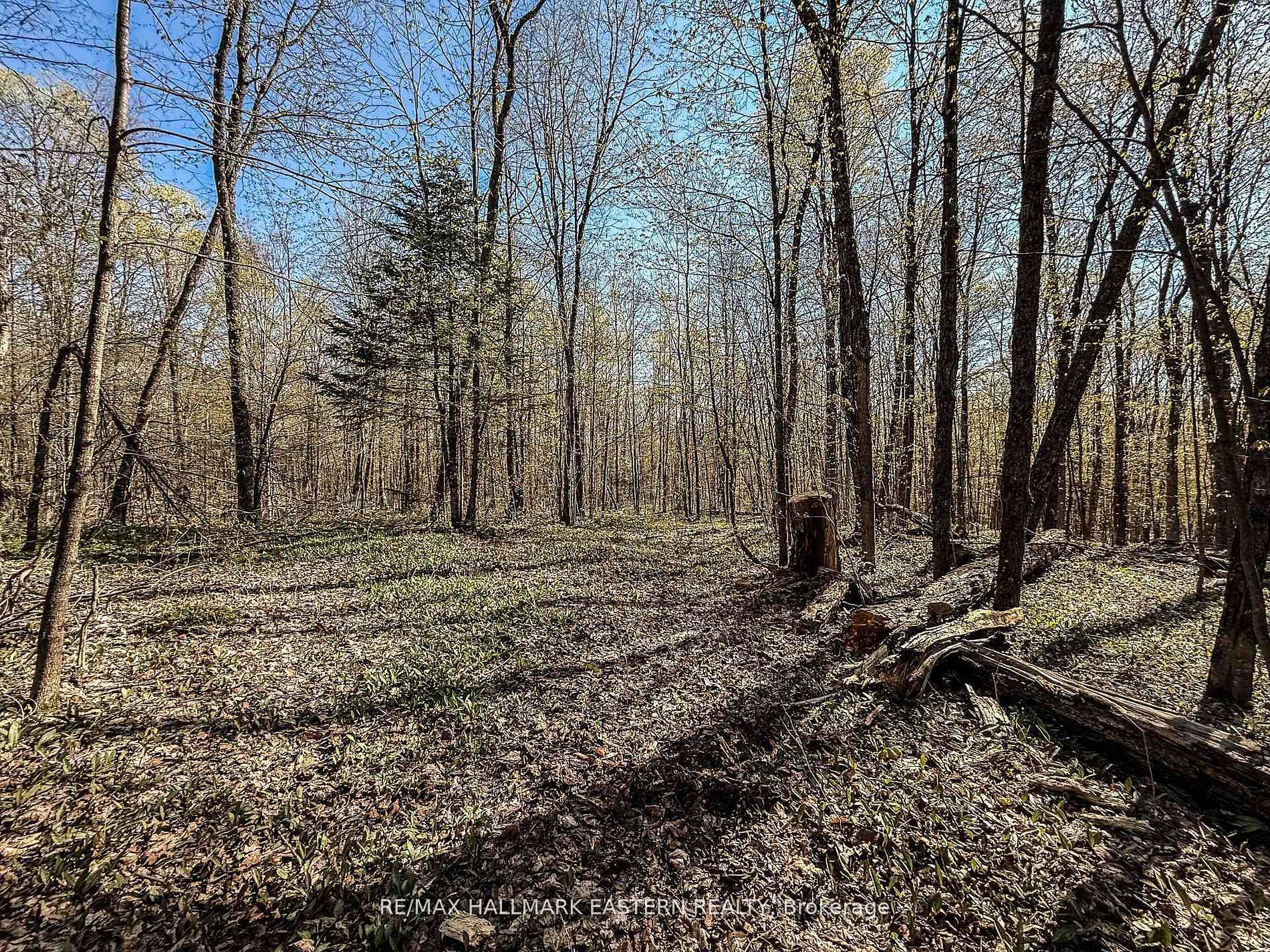 2494 Hadlington Road — photo 1
