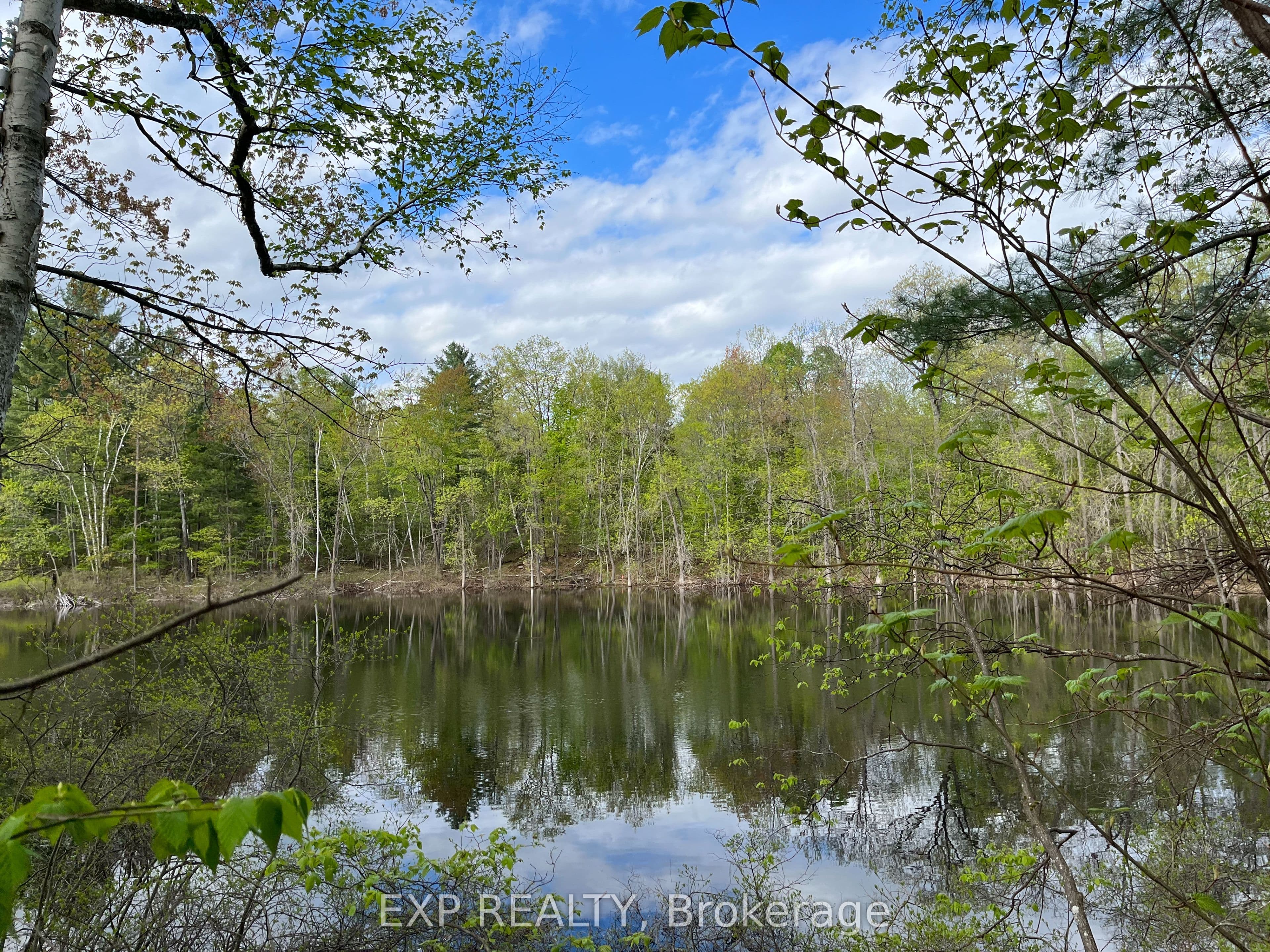 Lot 4 Sandy Shores Trail — photo 1