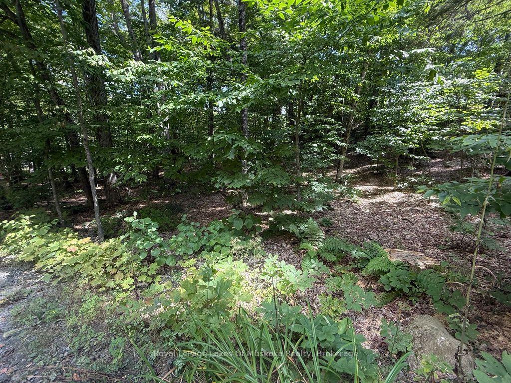 Lot 85 Brennan Circle — photo 1