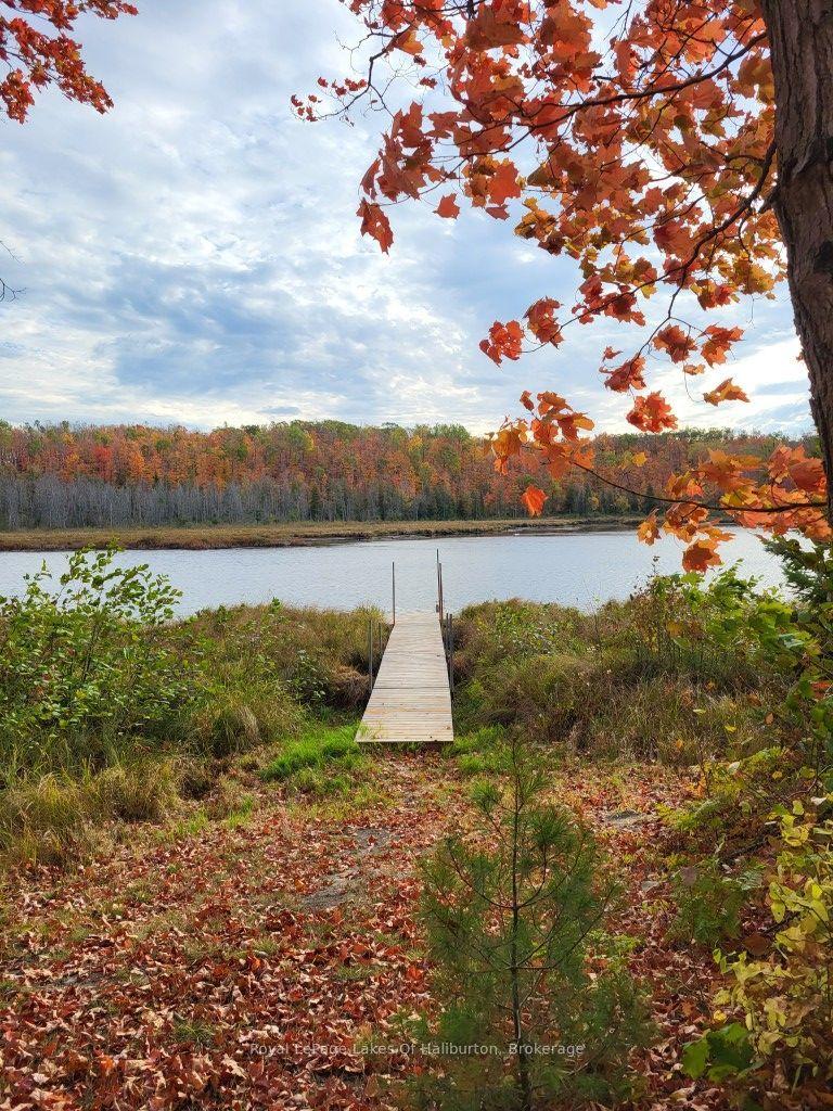 9842 Highway 35, Minden Hills — Land for sale, photo 1