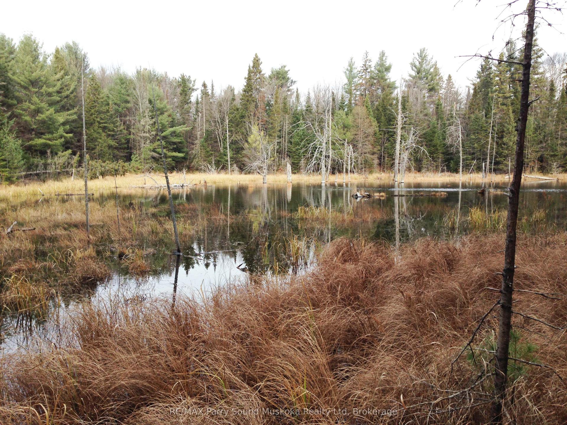 Lot 6 Con 5 N/A — photo 1