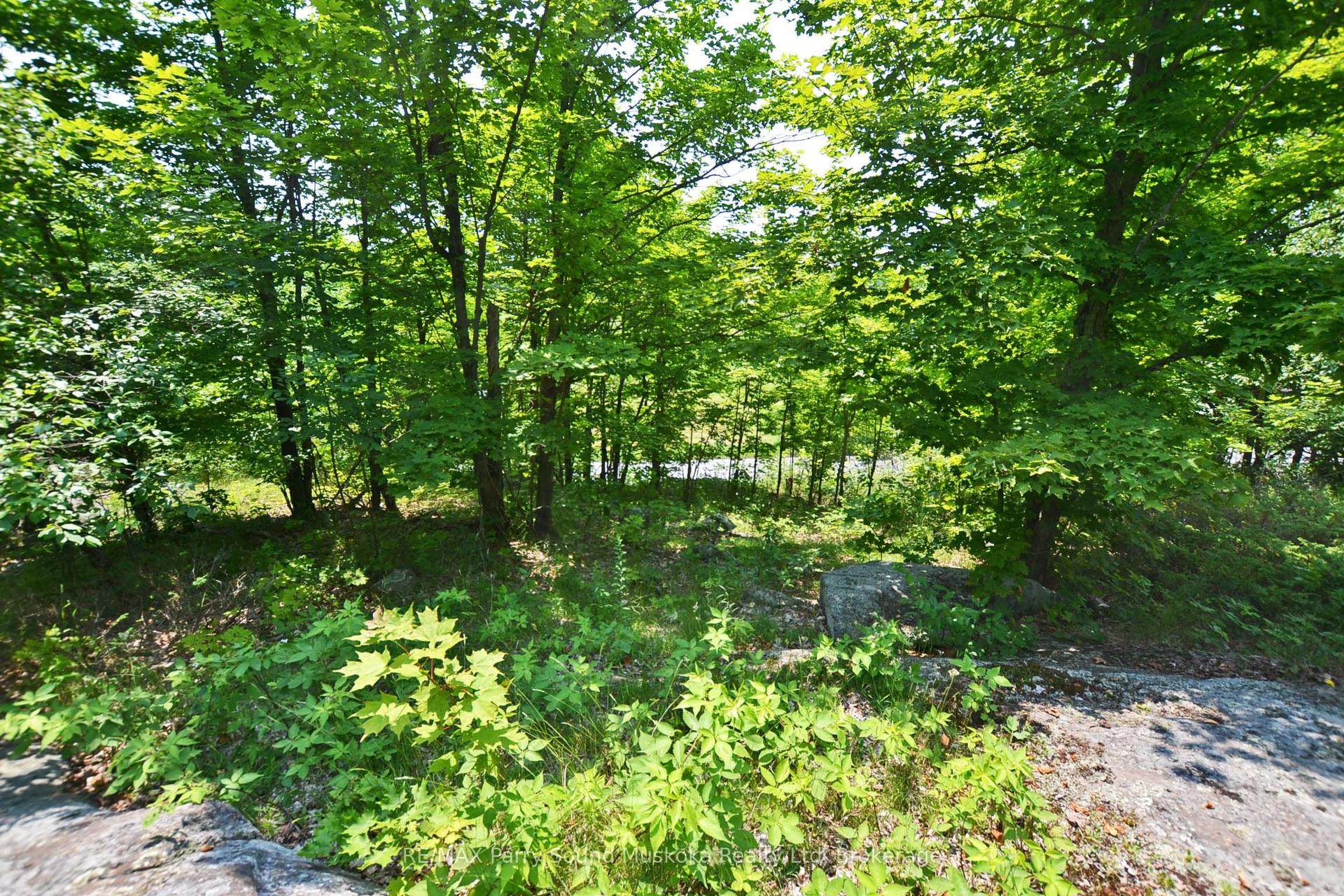 19 Turtle Lane — photo 1