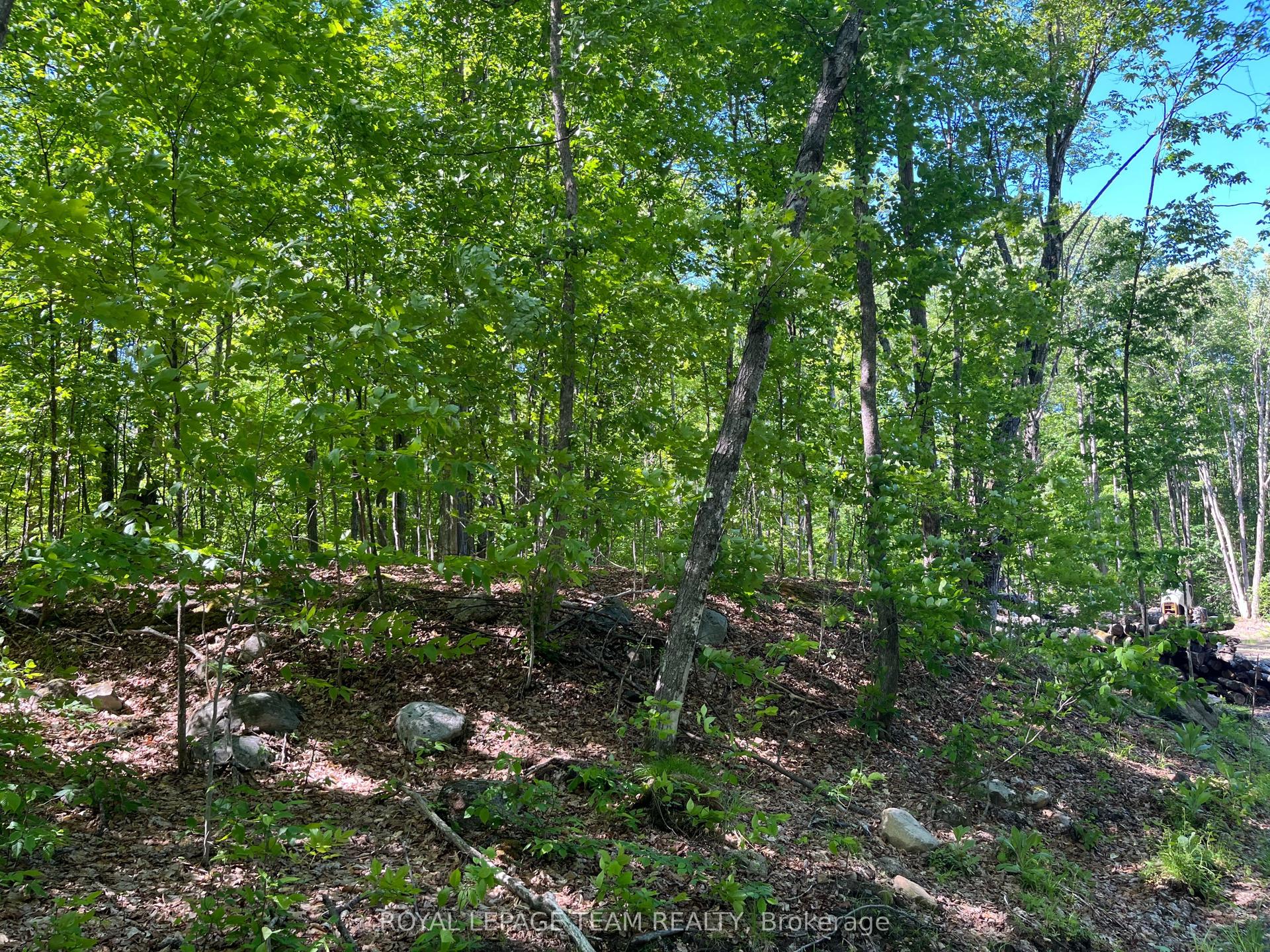 01 Siberia Road — photo 1
