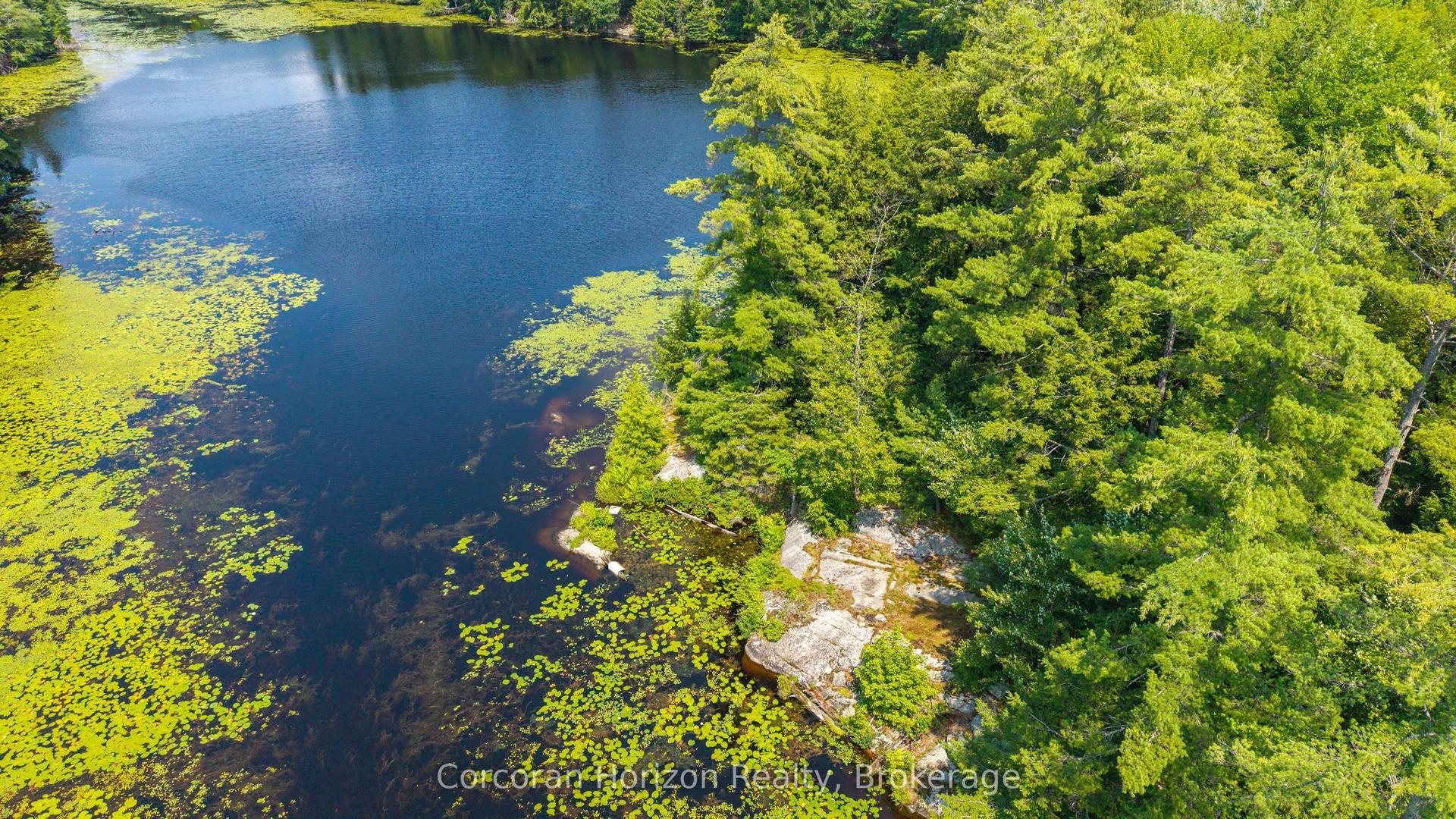 LT 14 HUNGRY BAY Road, Georgian Bay — Land for sale, photo 1