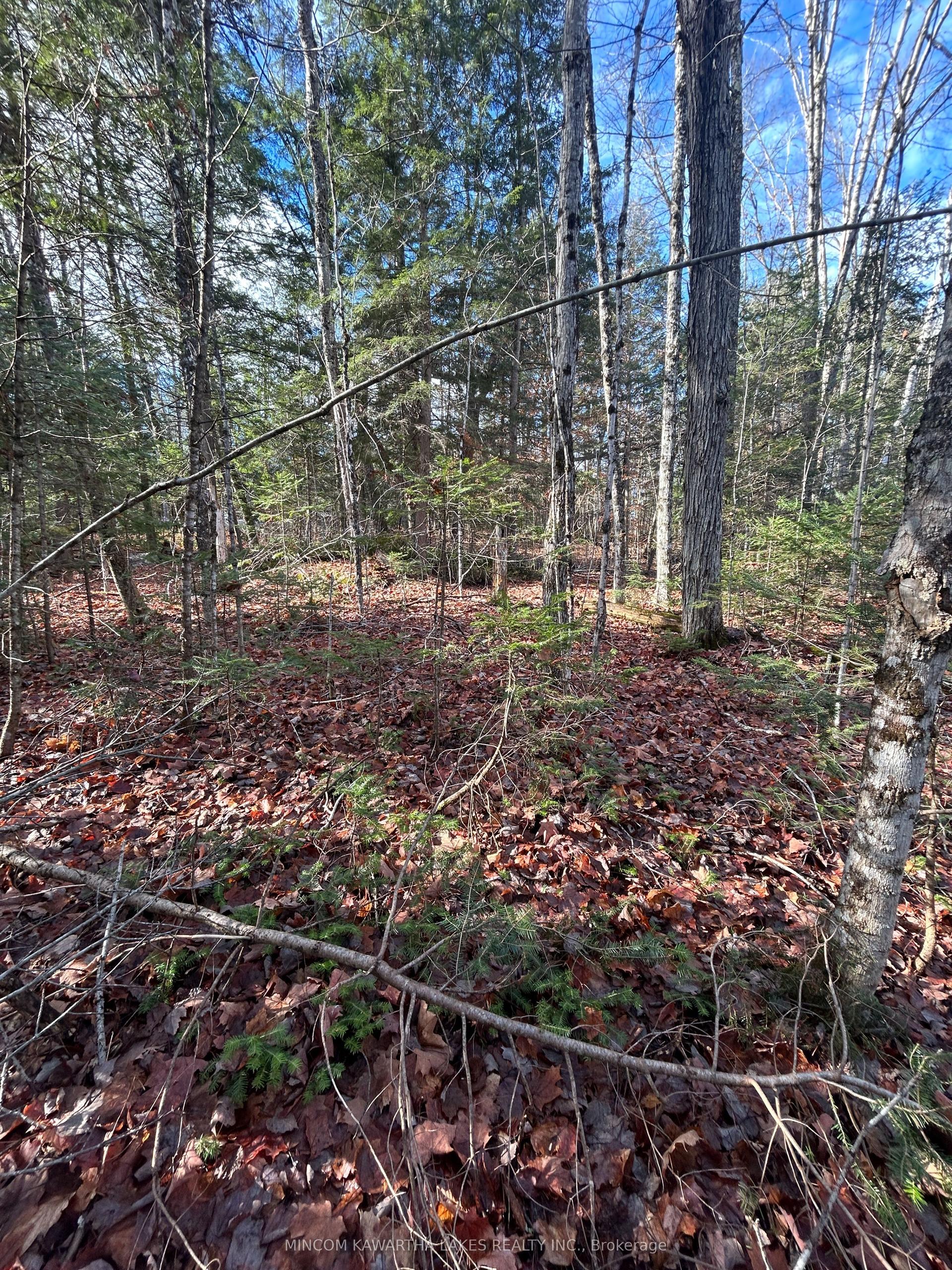 0 Mill Lake Road — photo 1