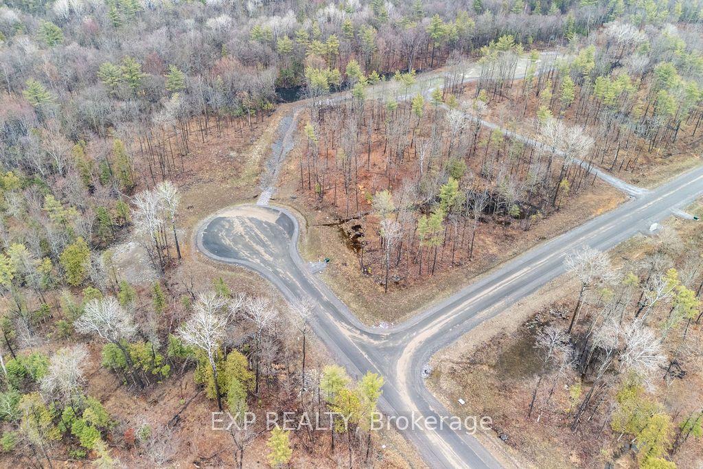 01 Black Spruce Court — photo 1