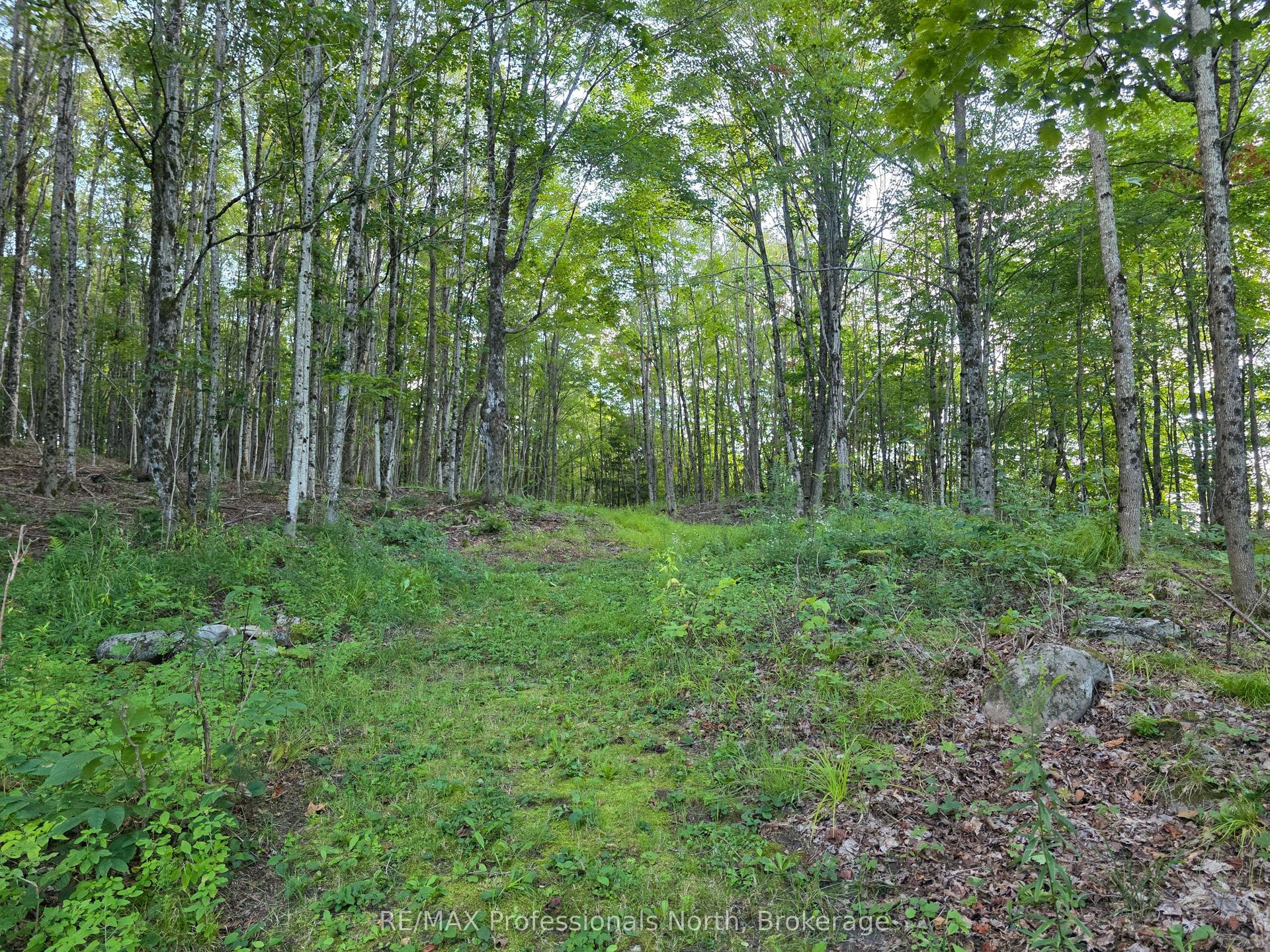 1026 Puffer Road, Minden Hills — Land for sale, photo 1