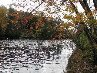 1260 Mathiasville Road, Bracebridge — Land for sale, photo 1