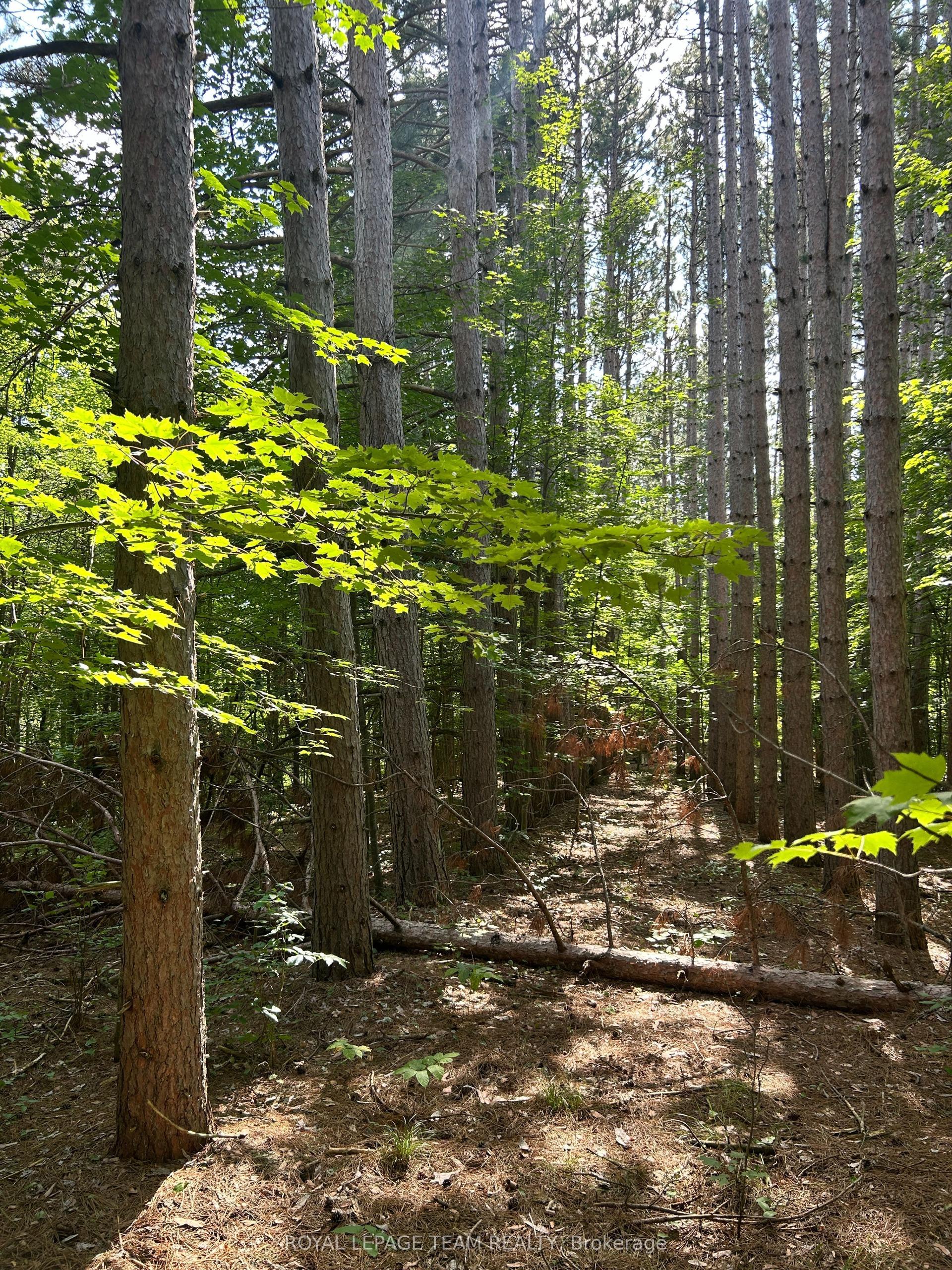 Lot 8 Pond Road, Tay Valley — Land for sale, photo 1