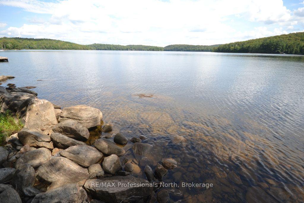 TBD Spruce Lake Trail, Dysart et al — Land for sale, photo 1