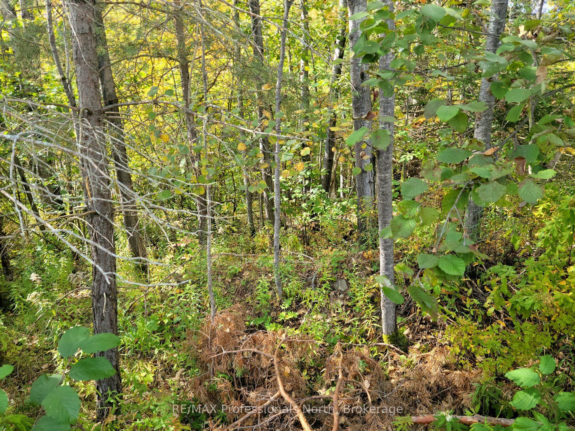4 FOX RUN Lane 32 #32, Huntsville — Land for sale, photo 1