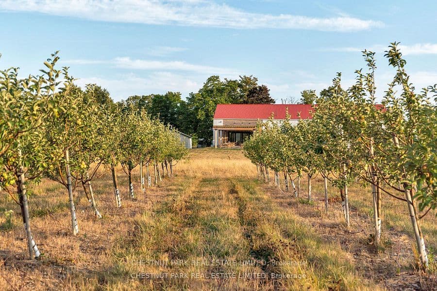 890 Danforth Road — photo 1