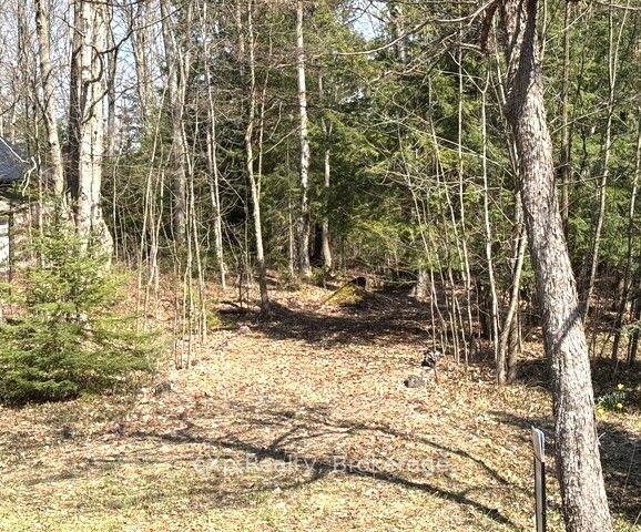 PT LT 21 Grey Road 12 Road — photo 1