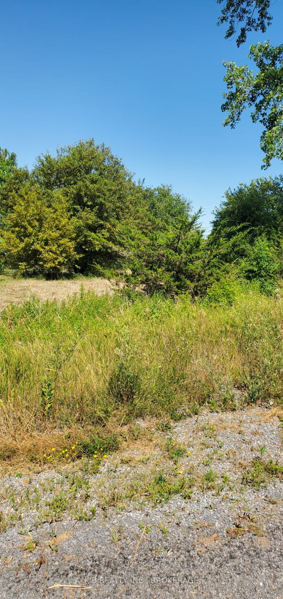 66 Dorland Drive — photo 1