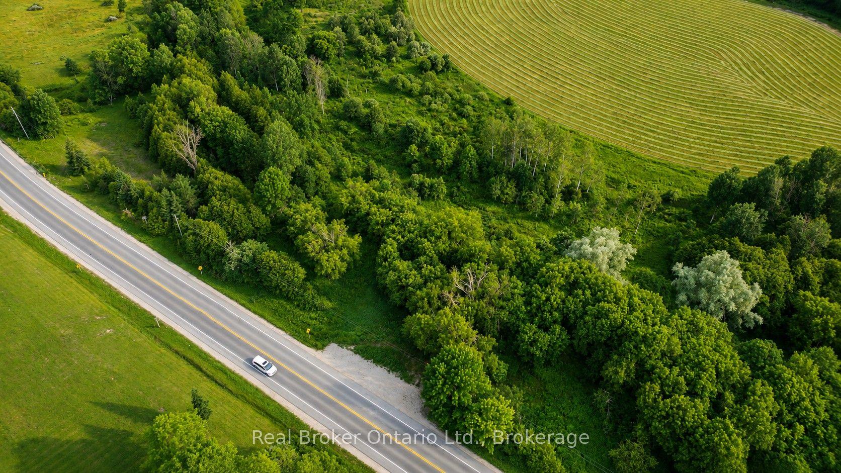 401619 Grey Road 4 N/A, West Grey — Land for sale, photo 1
