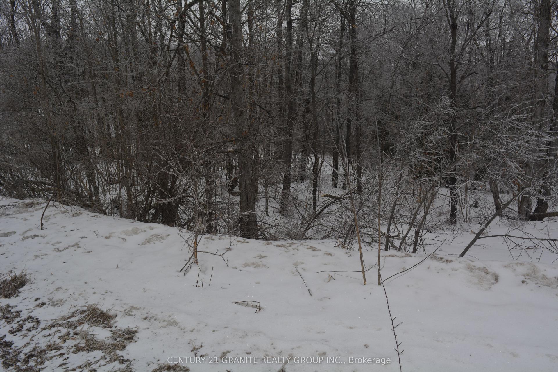 0 Sucie Road — photo 1