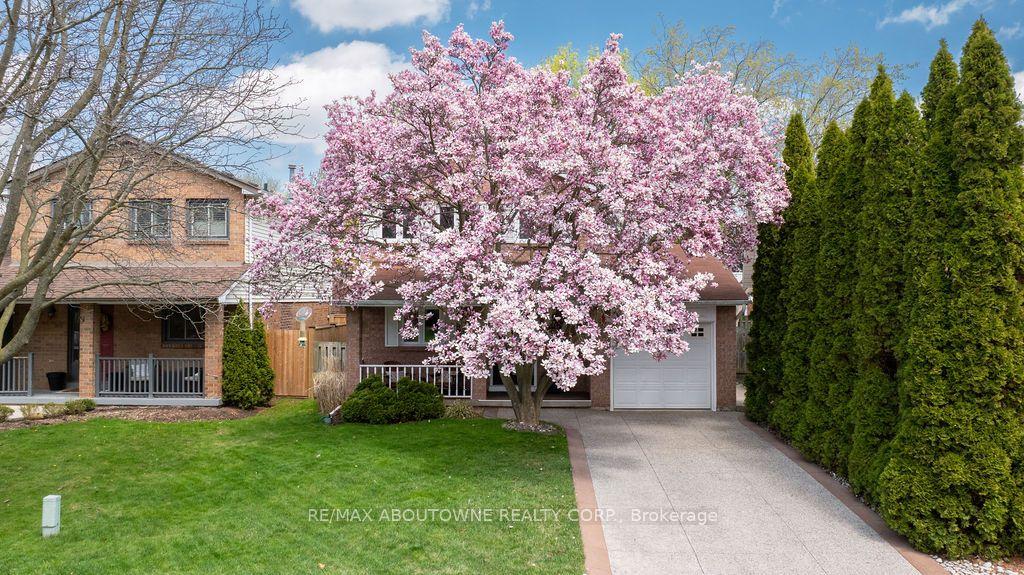 161 Riverview Street — photo 1